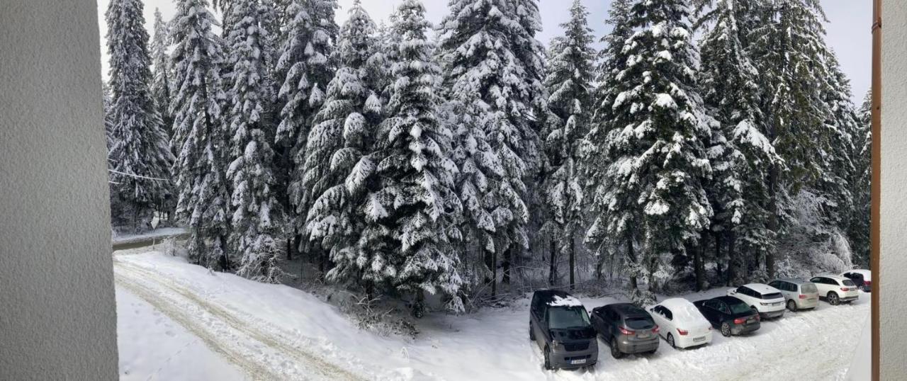 Borovets Gardens Apartment A20 エクステリア 写真